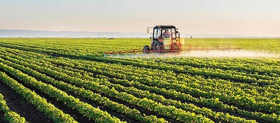 Catalina Loza: organizadora de seguros para productores agropecuarios