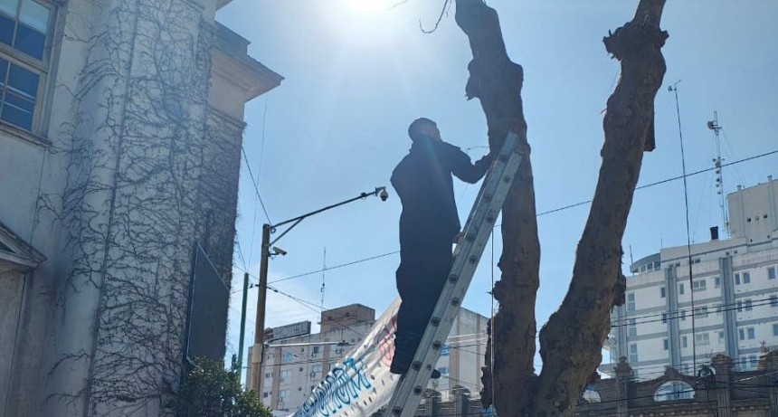 Por la ordenanza vigente, la Comuna quitó el pasacalles de Municipales