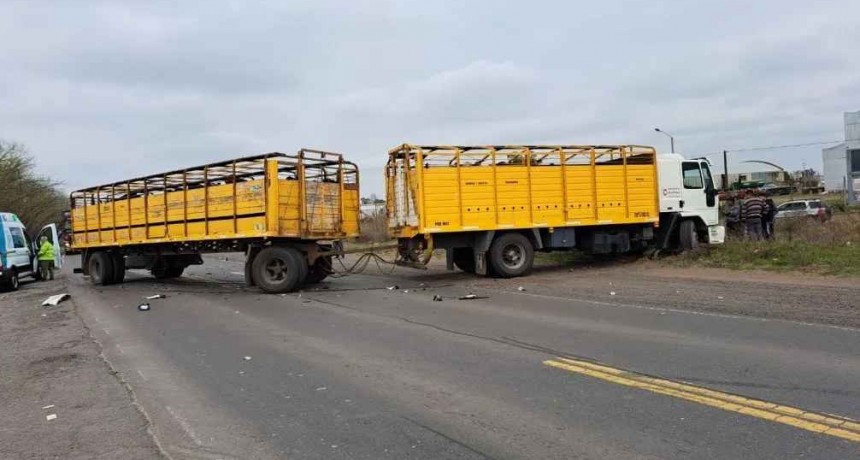 Bolívar: murió un hombre al chocar contra un camión, que manejaba un oriundo de Espigas