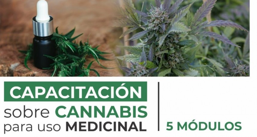 Capacitación destinada a personal de salud sobre cannabis para uso medicinal: conocé el cronograma completo