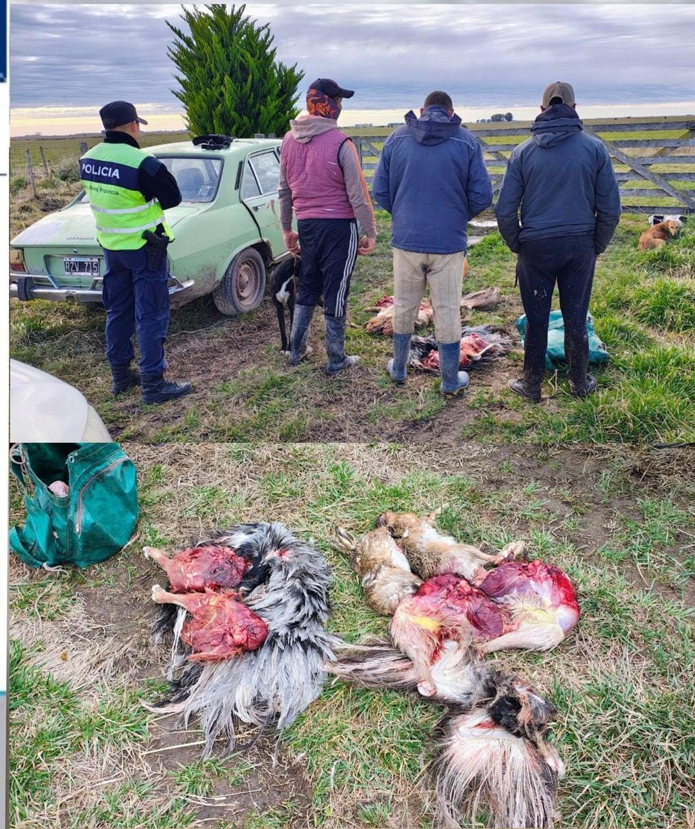 Dos personas fueron infraccionadas por caza ilegal en un campo de Espigas
