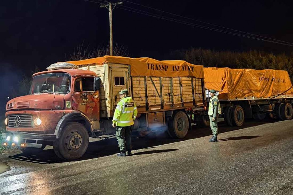 Cañuelas: Gendarmería incautó una carga ilegal de morfina y otros productos de alto riesgo sanitario