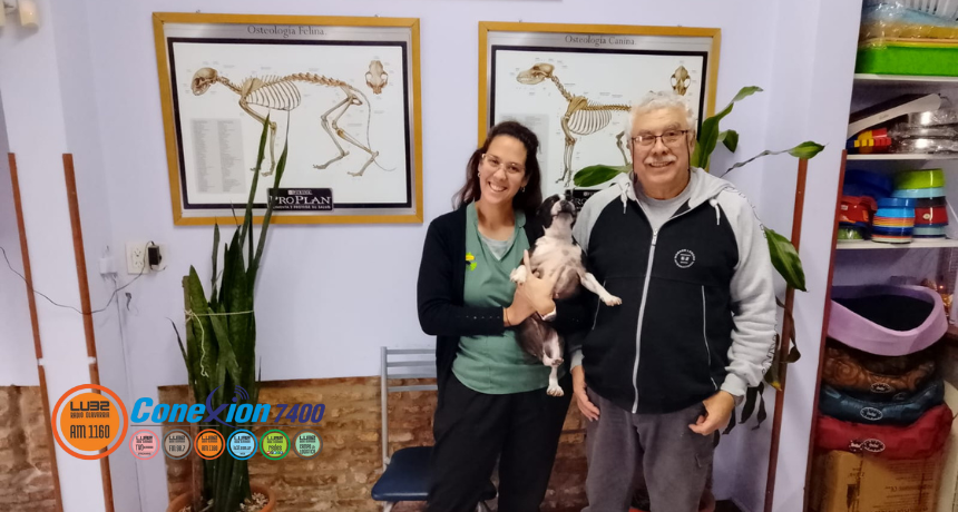Día del veterinario: ‘Cambió mucho el significado de mascota’