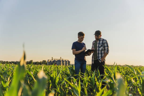 Ingeniero agrónomo: una herramienta vital para el productor rural 