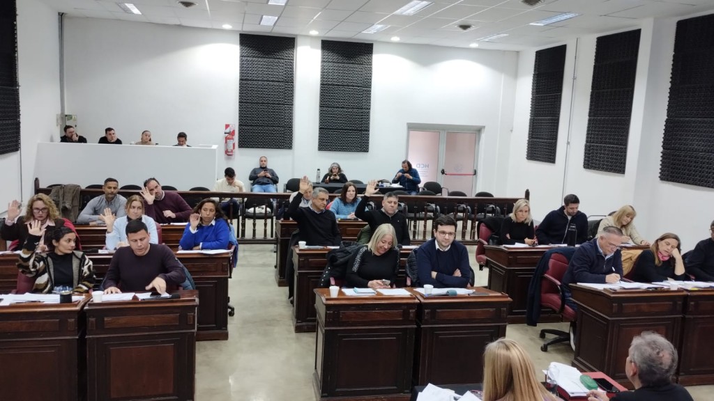 Con la discapacidad como eje, pasó la décima sesión del Concejo Deliberante
