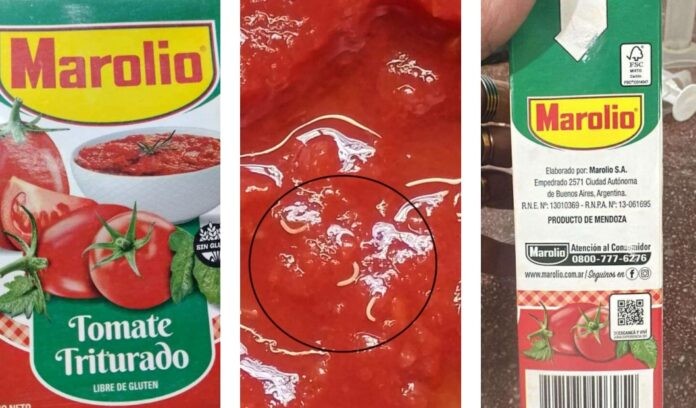 ANMAT advirtió sobre presencia de gusanos en un lote de tomate triturado