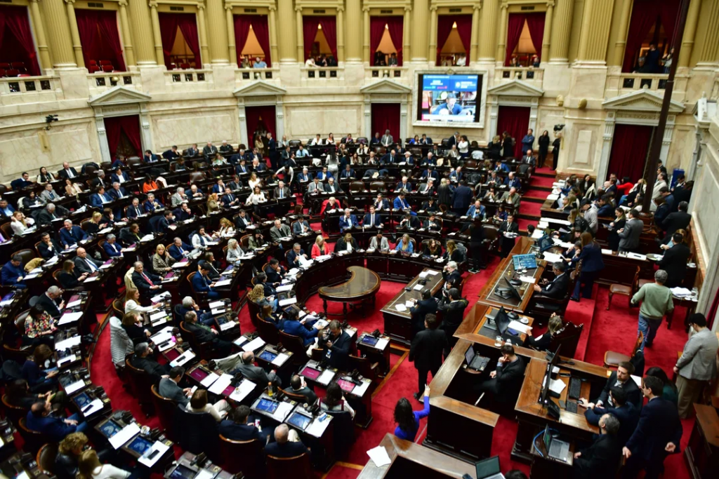 Diputados rechazó el veto a la emergencia en Discapacidad