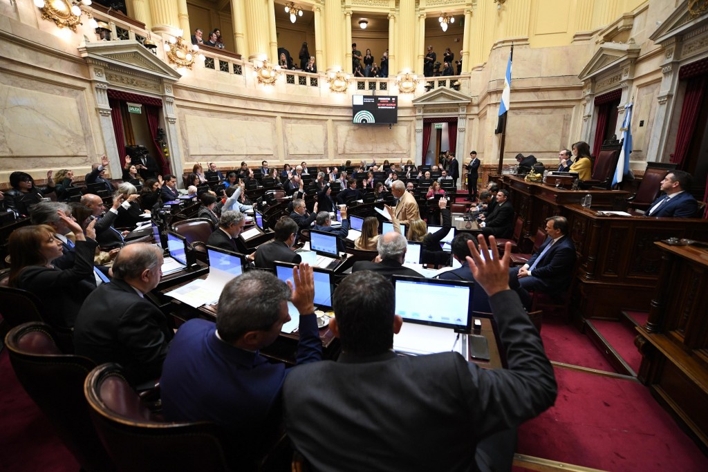 El Senado convirtió en ley el financiamiento universitario y la emergencia en pediatría