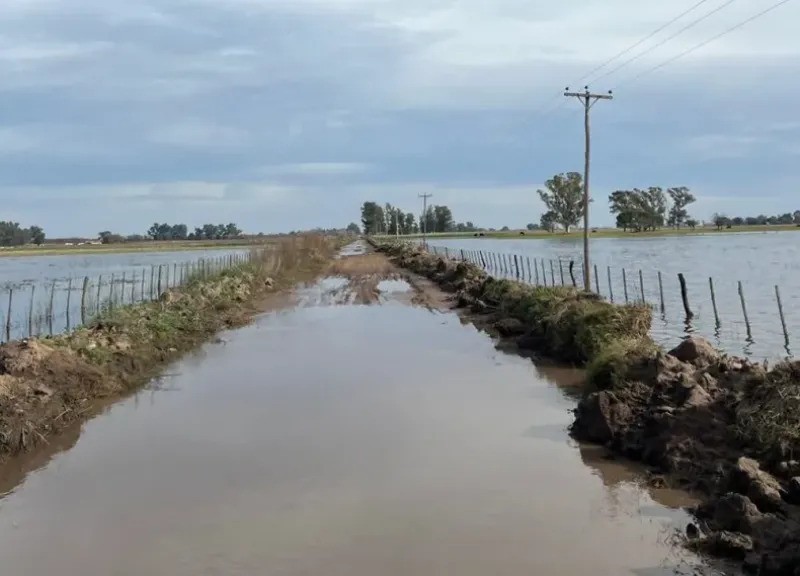 Las lluvias complican a miles de hectáreas de campos bonaerenses