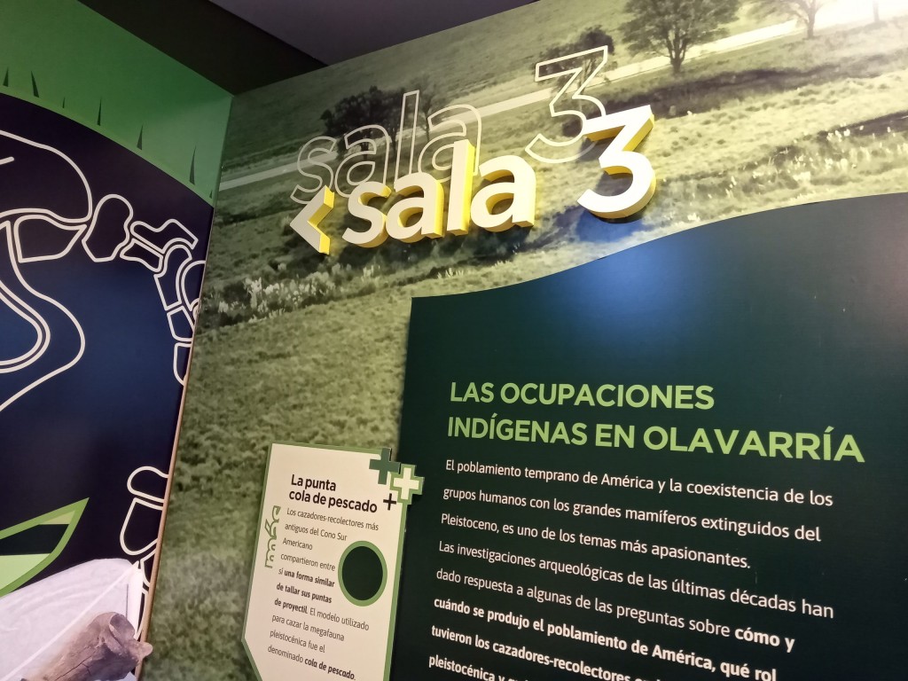 Un viaje al pasado de Olavarría en el Museo de las Ciencias