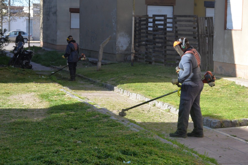 Trabajos de limpieza y mantenimiento en el barrio Amparo Castro