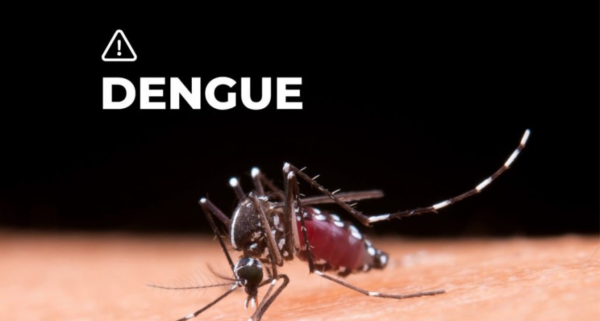 El Municipio recuerda las medidas de prevención del dengue