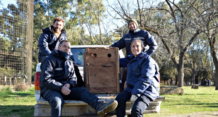 El Bioparque Municipal se consolida en el Proyecto de Conservación del Cóndor Andino