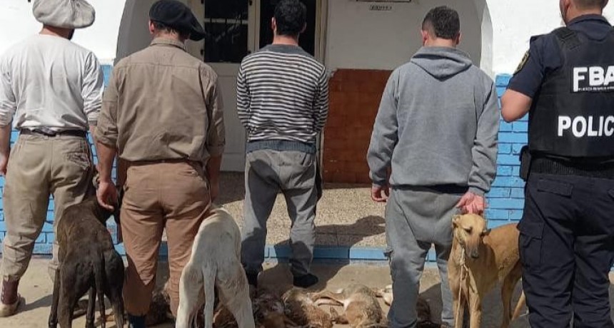 Cazaban con galgos y se movían en una camioneta impedida