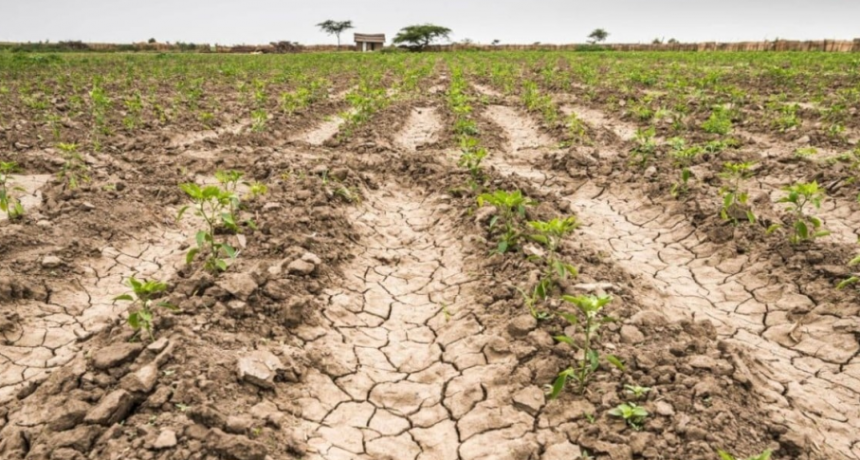 La Niña está por llegar a la Argentina: se esperan fuertes sequías