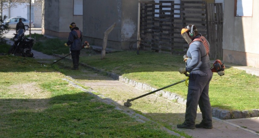 Trabajos de limpieza y mantenimiento en el barrio Amparo Castro