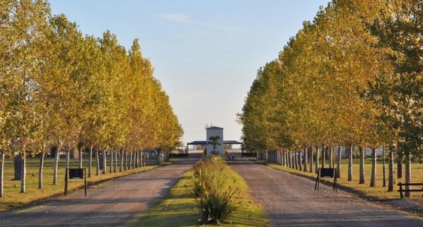 ARBA inspeccionó el country Sauveterre, el día que su titular estaba en Olavarría