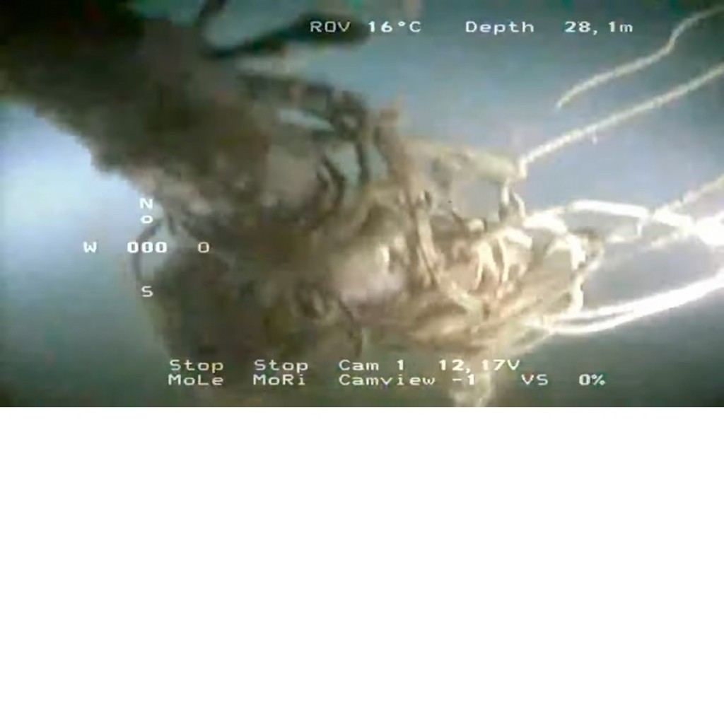 En Necochea hallaron restos de un submarino hundido