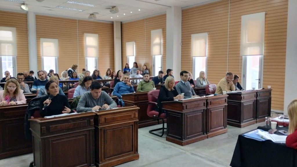 El Concejo debatió sobre la Universidad y el IOMA