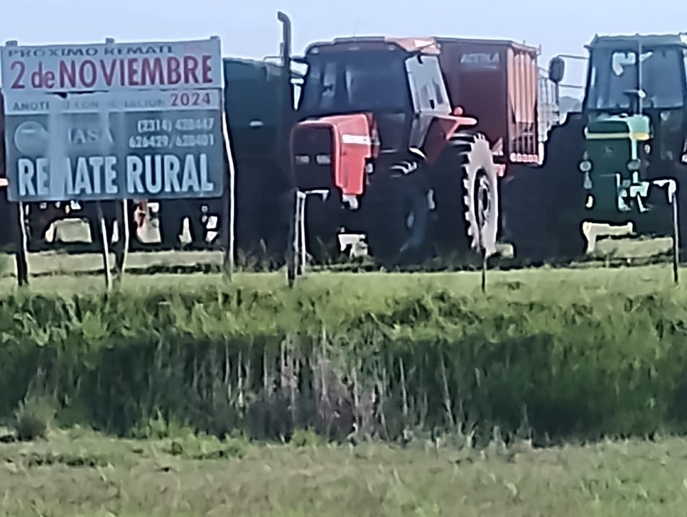 Este sábado se realiza el remate rural de Ciasa S.A.