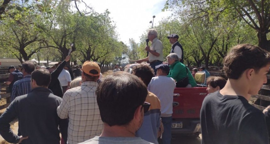 Remate UMC junto a Julio Schmalle en Olavarría