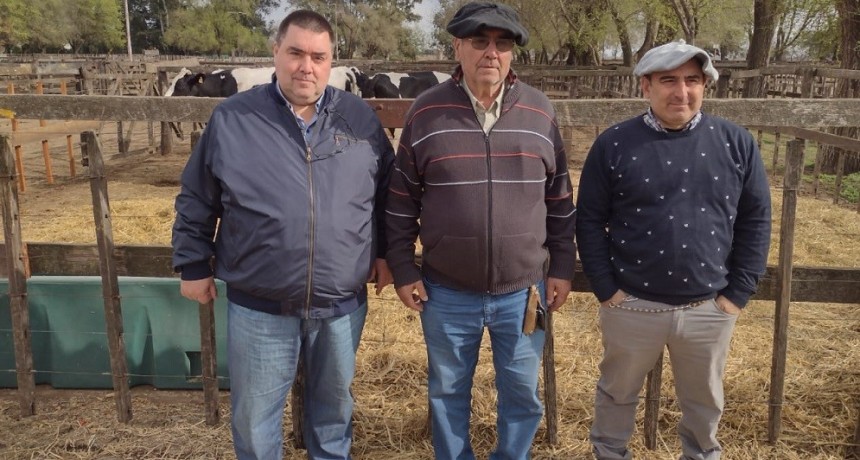 El 2 de noviembre se realiza el remate de maquinaria agrícola de Ciasa S.A.