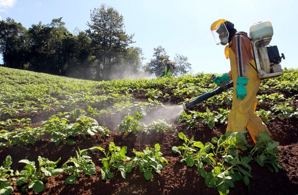 Vecinos de Colonia San Miguel denuncian utilización de agroquímicos en campos cercanos a la población