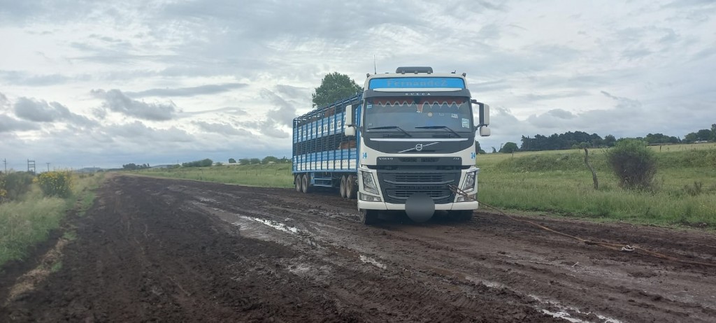 Encontraron camiones circulando por caminos rurales tras la lluvia