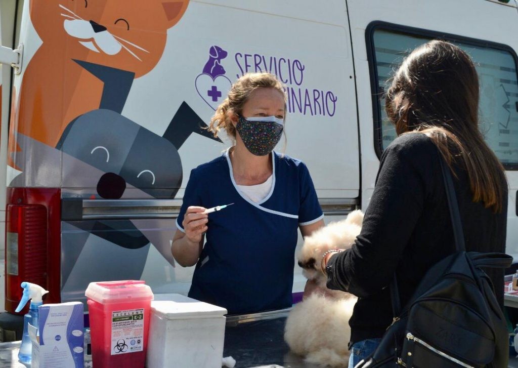 Campaña Antirrábica: Durante el último trimestre fueron vacunados más de 7600 animales
