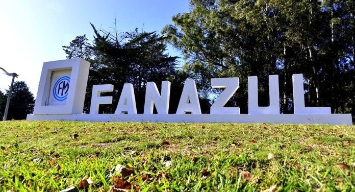 Fanazul: el director de Fabricaciones Militares visitará en enero la planta, paralizada desde mayo