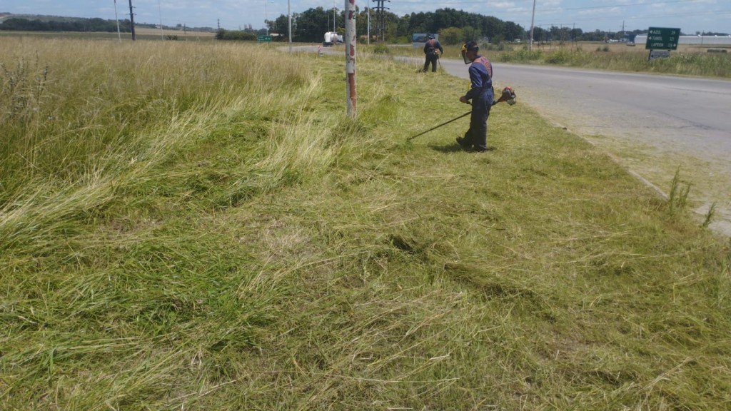 Tras reclamos a Vialidad, el Municipio realiza corte de pasto en las rotondas de Ruta N°226