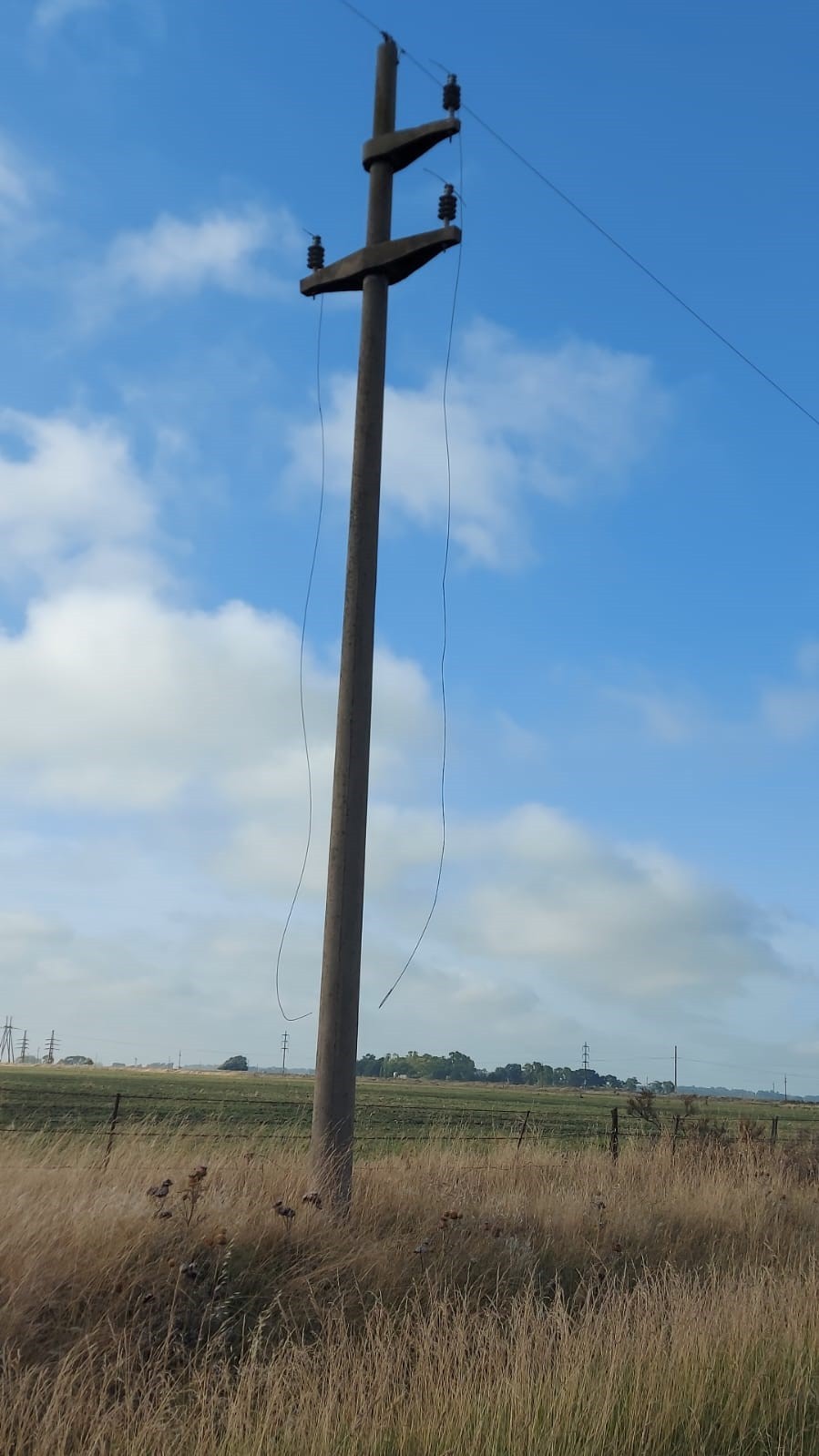 Coopelectric reportó la pérdida de $12 millones por el robo de cables del fin de semana