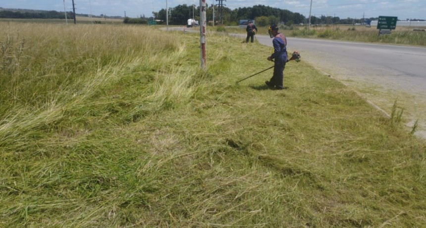 Tras reclamos a Vialidad, el Municipio realiza corte de pasto en las rotondas de Ruta N°226